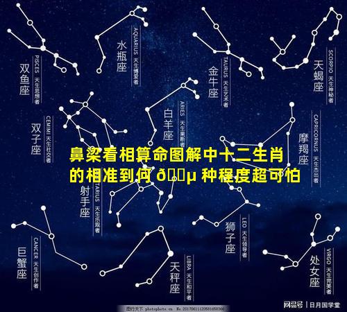 鼻梁看相算命图解中十二生肖的相准到何 🌵 种程度超可怕